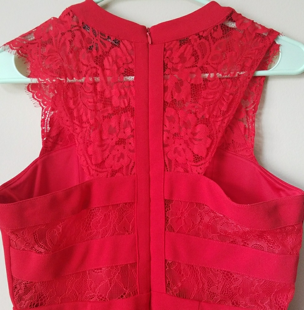 Express Dress - Picture 5 of 6